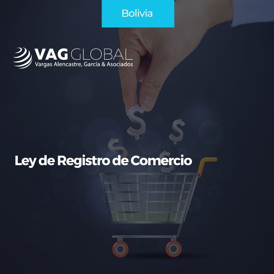 Ley de Registro de Comercio VAG GLOBAL