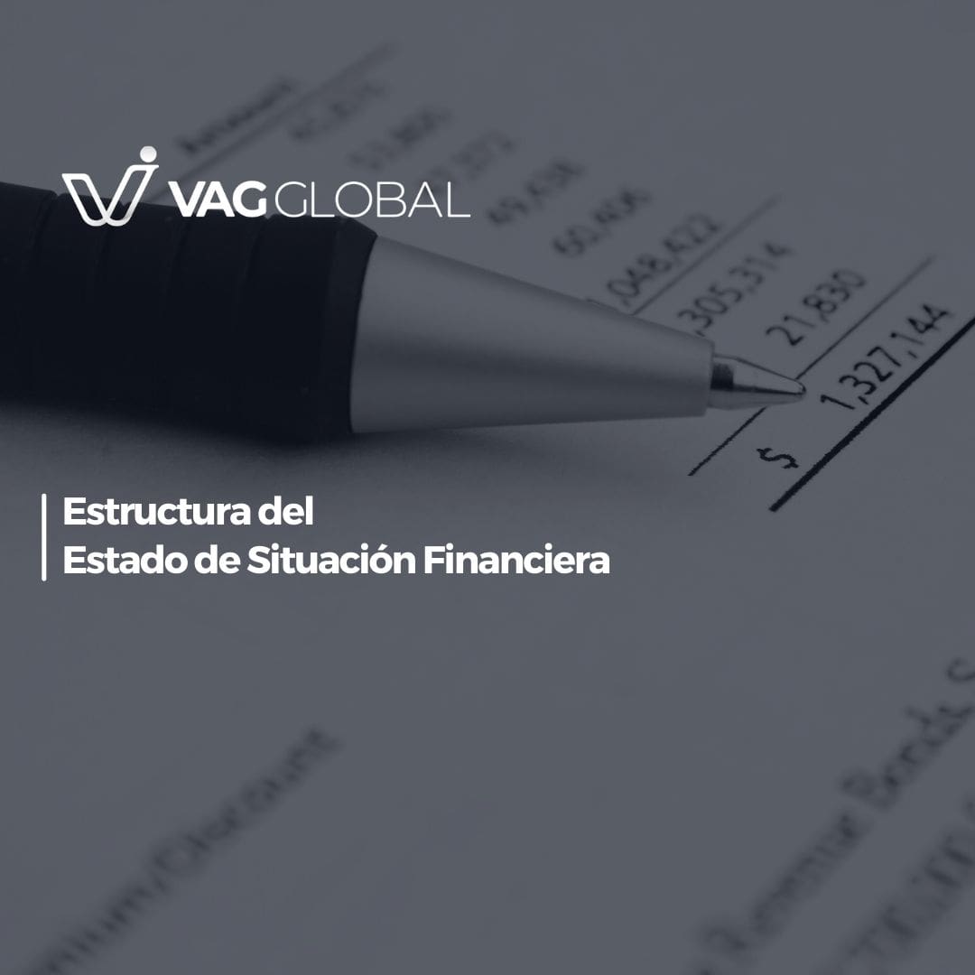 Estructura Del Estado De Situación Financiera Vag Global 5841
